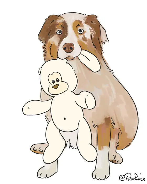 Illustration d'un berger australien et son doudou