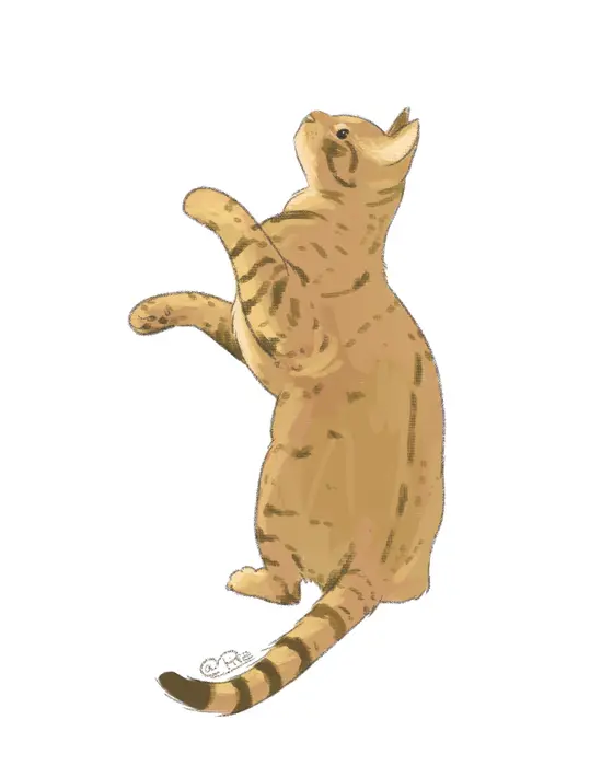 Portrait illustré d'un chat tigré en pleine escalade