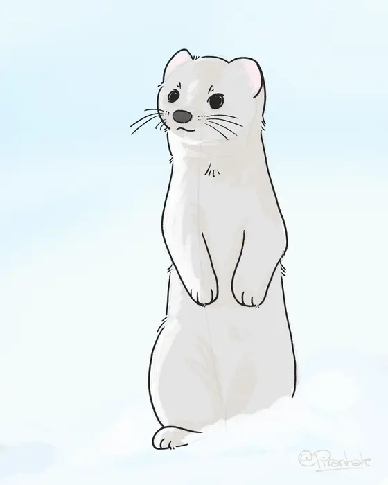 Illustration d'une hermine dans la neige