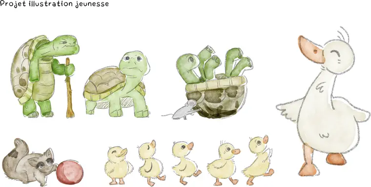 Recherches aquarelle de tortues et de canetons, projet d'illustration jeunesse